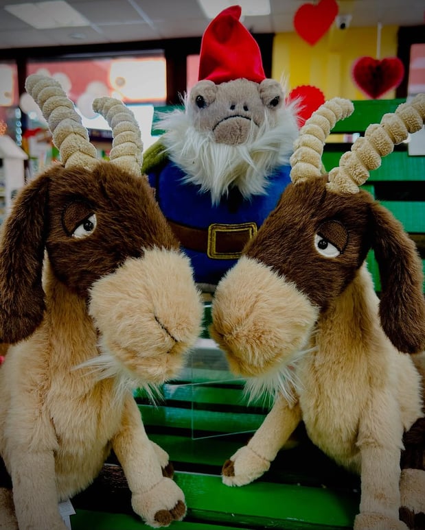 Images The Wonder Emporium