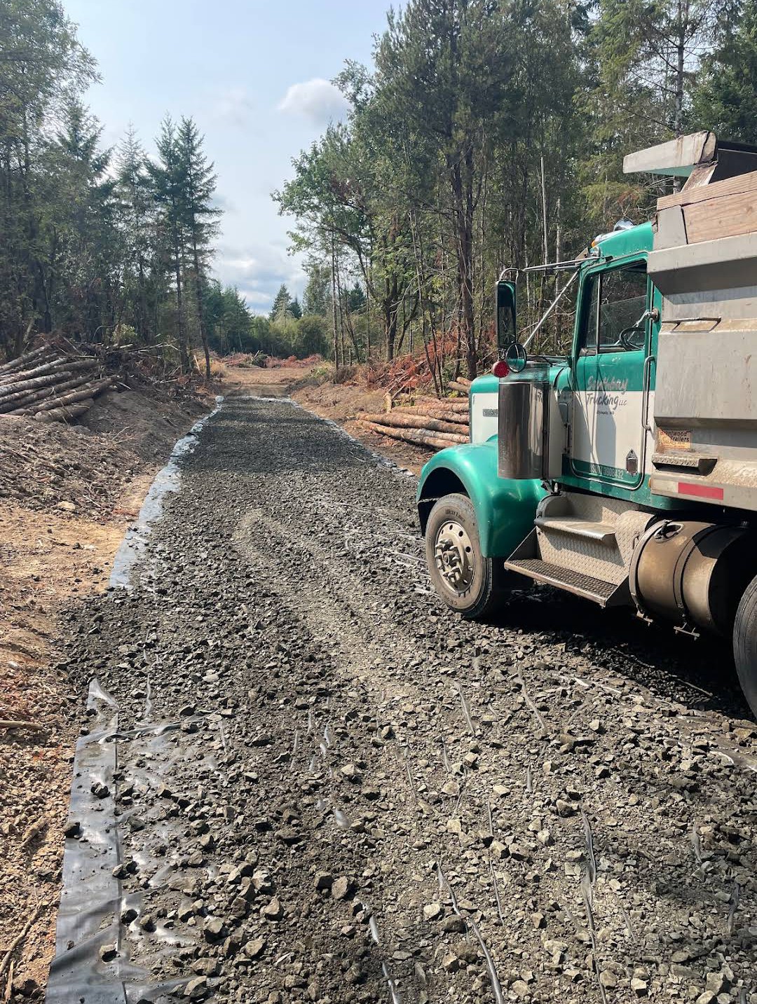 Grading near Olympia WA