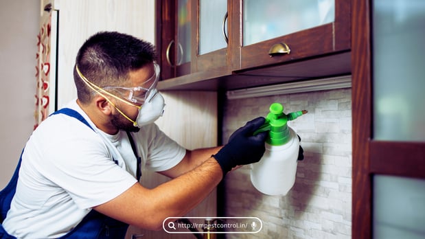 Images Pest Control Los Angeles