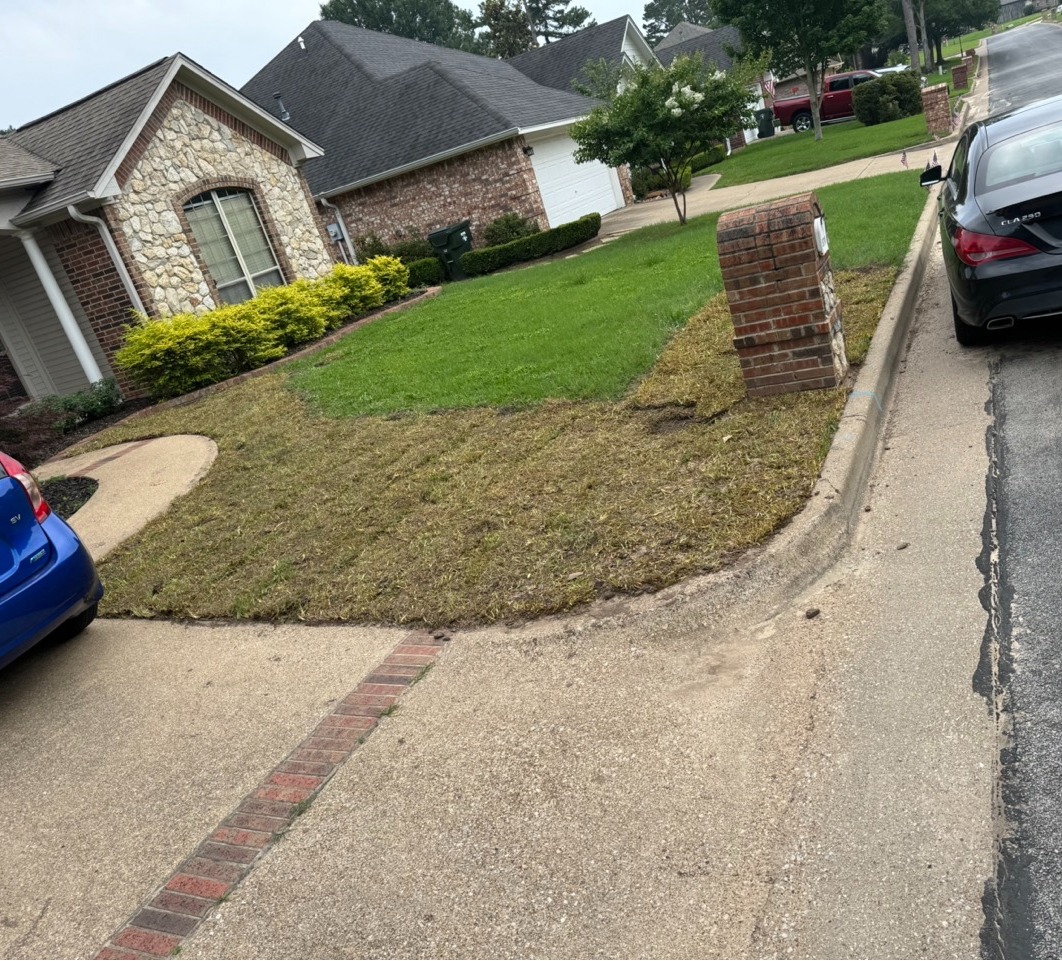 Laying new Sod.