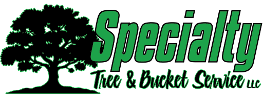 Images Specialty Tree & Bucket Service