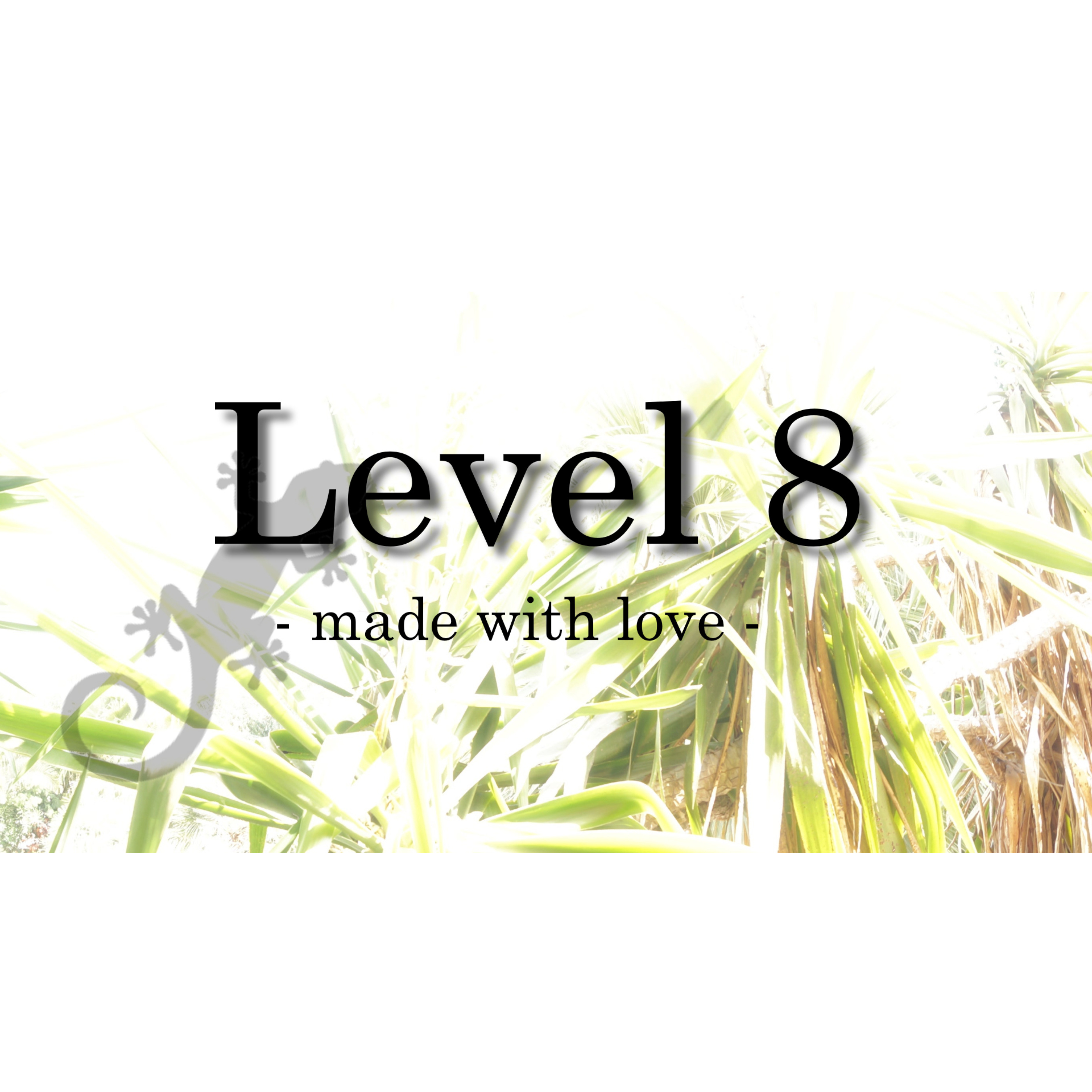 Logo Level 8 Inh. Daniela Neubeck