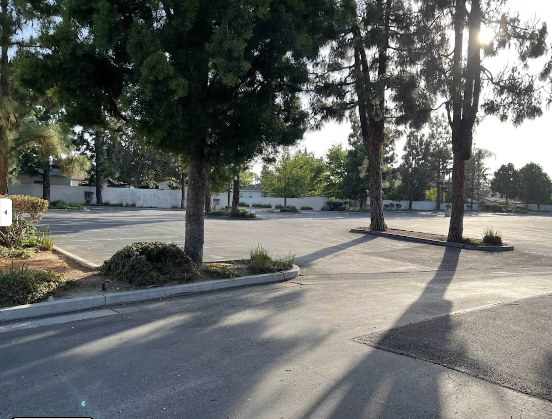 The Church of Jesus Christ of Latter-day Saints Image