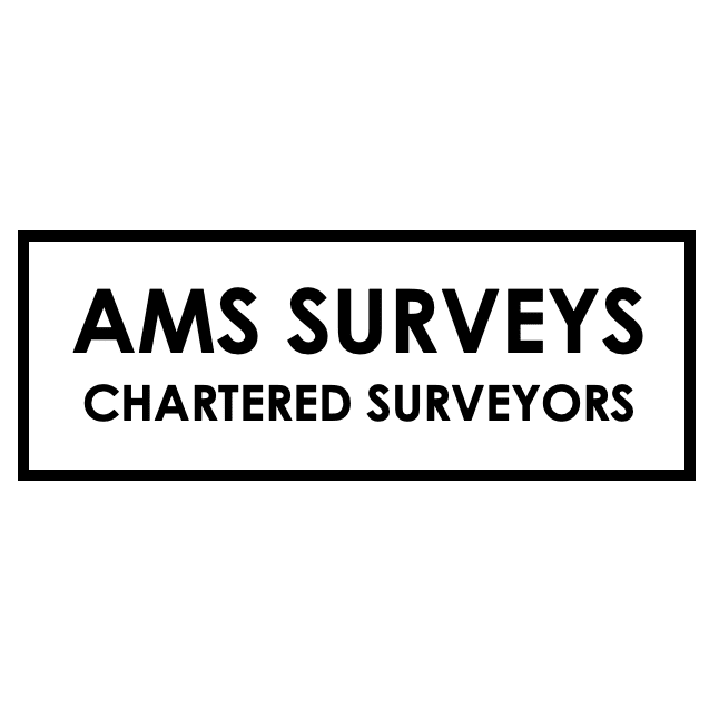 AMS SURVEYS Logo