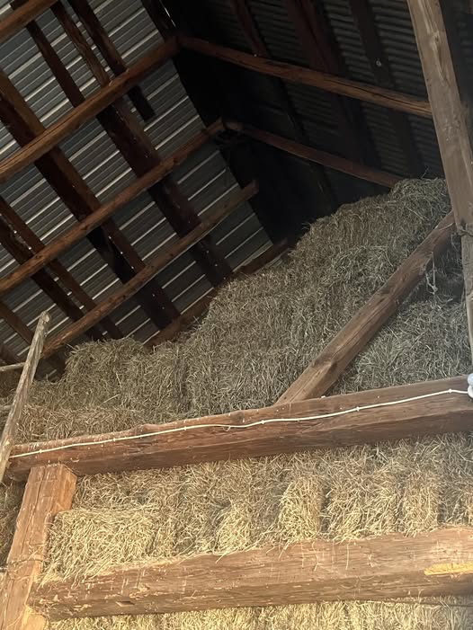 Images Shady Ridge Farm, LLC