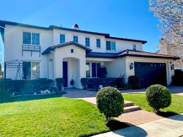 Images Stanton Lewis - Elevate Real Estate Agency