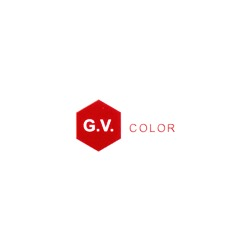 G.V. COLOR Logo