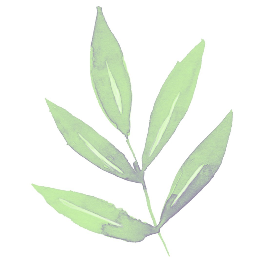 Praxis für Akupunktur, TCM, Phytotherapie, Kräutermedizin, Tibetische Medizin in Bern