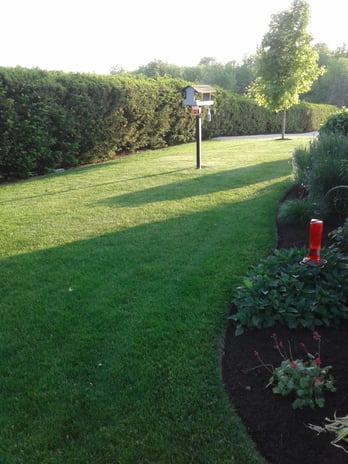 Images Sunset Yard Solutions