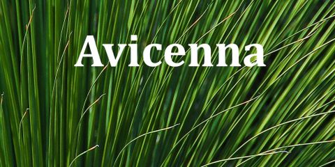 Images Avicenna Acupuncture & Lymphedema Clinic