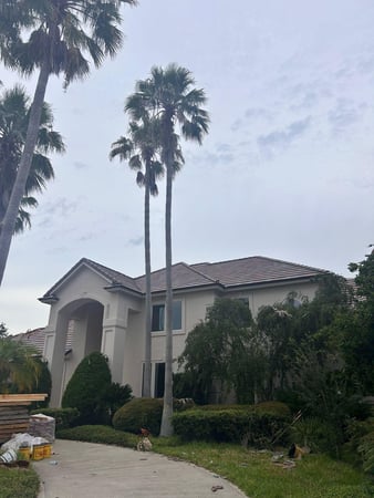 Images Pinnacle Roofing