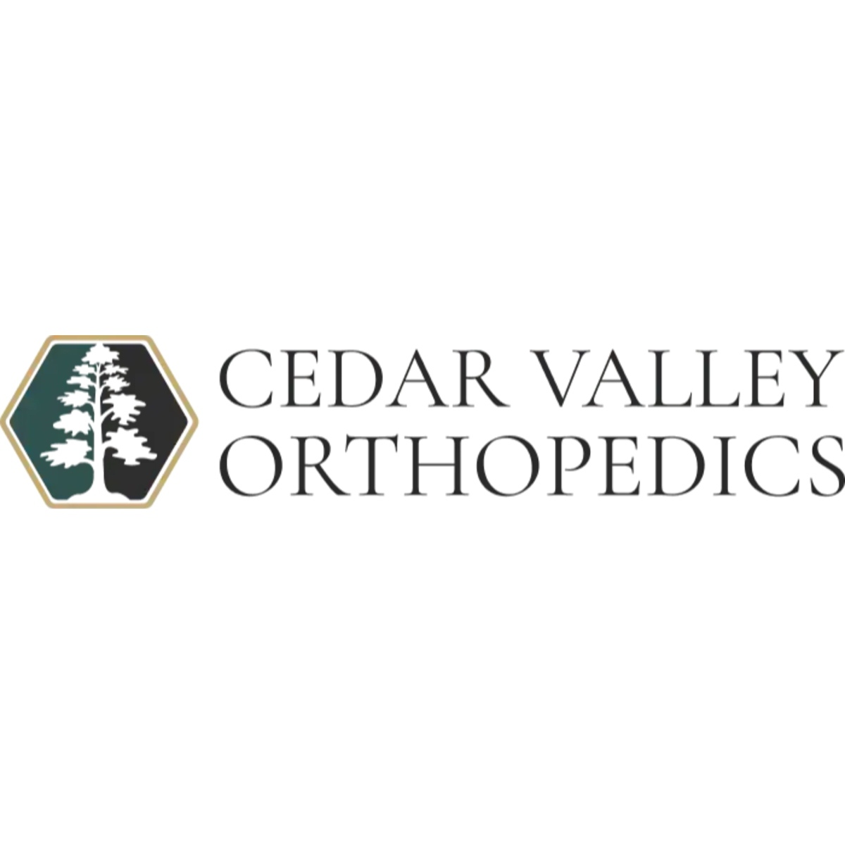 Cedar Valley Orthopedics