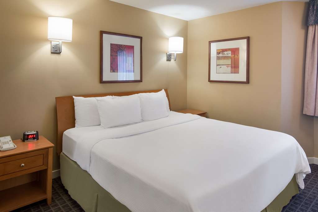 QueenSuite SureStay By Best Western North Vancouver Capilano North Vancouver (604)987-8185