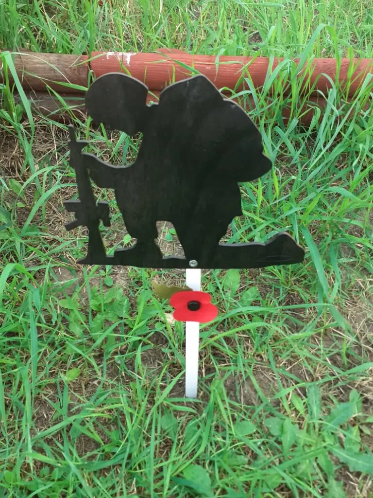 Images TACH Metalcraft