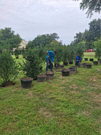 Images J&Z Robledo Landscaping LLC