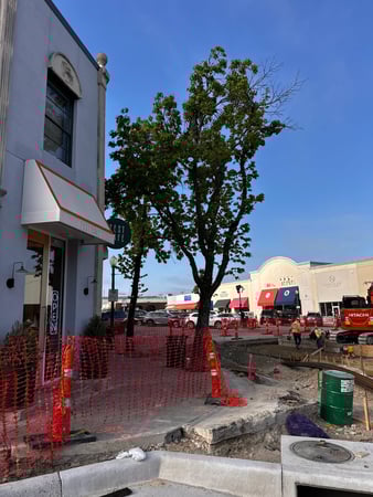 Images Sal's Landscape & Tree Service