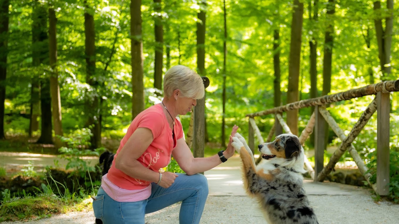 Manu´s Hundeschule auch für schwierige Hunde, Hauendorf 7 in Emtmannsberg