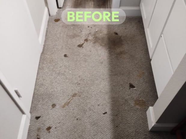 Images Voda Cleaning & Restoration