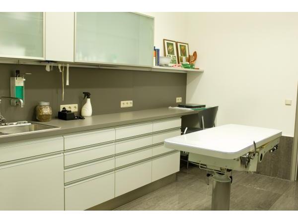 Tierarztpraxis Eggenberg Dipl-TA Greilberger Rainer, Karl-Morre-Straße 19 in Graz