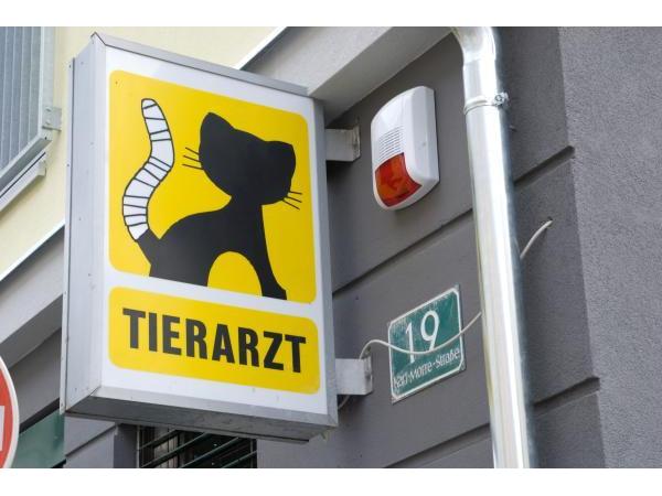 Tierarztpraxis Eggenberg Dipl-TA Greilberger Rainer, Karl-Morre-Straße 19 in Graz