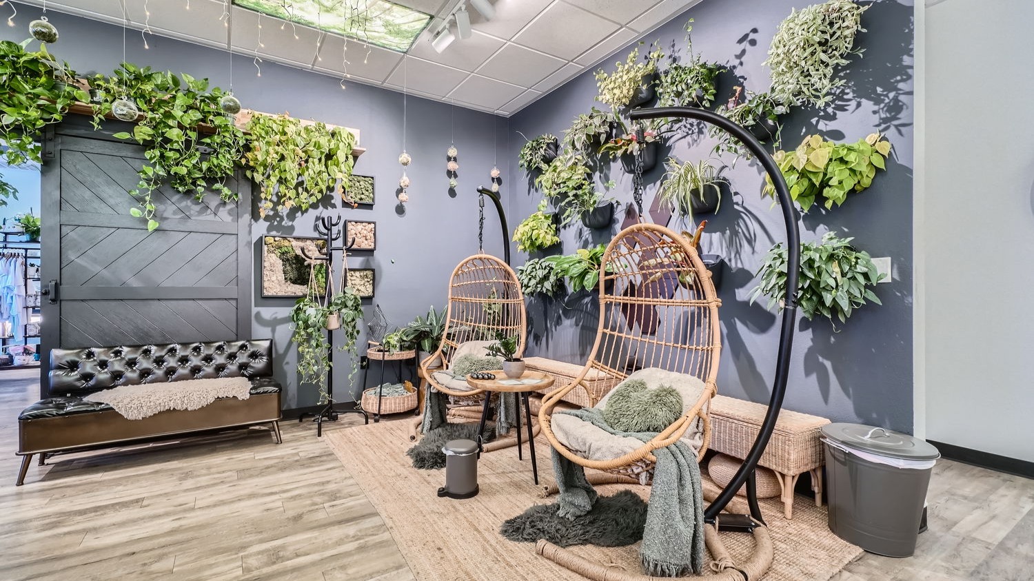 From lush hanging plants to vibrant indoor greens, find the perfect plant to bring your space to life.