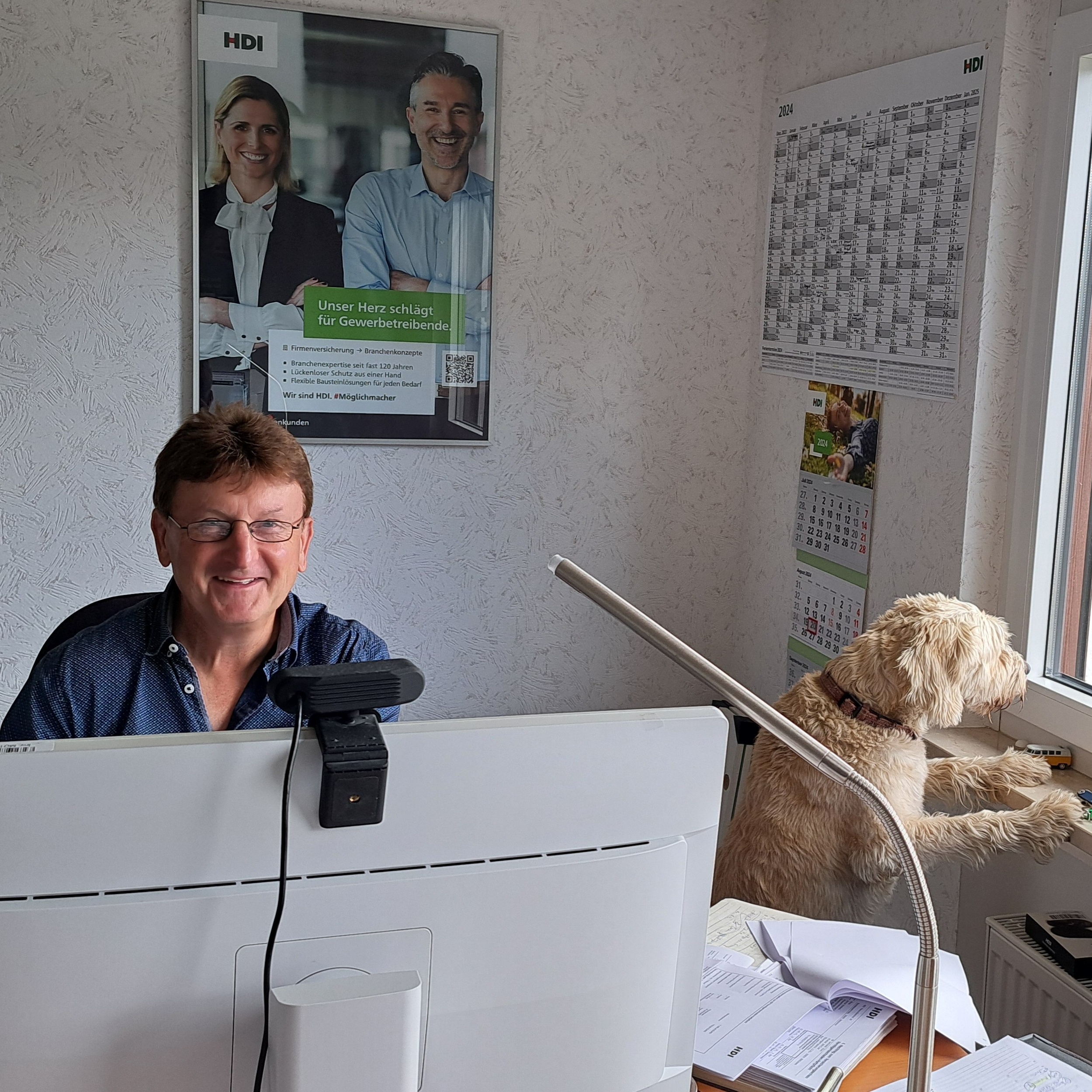HDI Versicherungen: Stefan Dörfler, Thiergartenstr. 87 in Büdingen