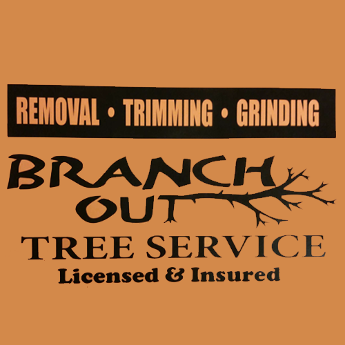 Branch Out Tree Service Logo