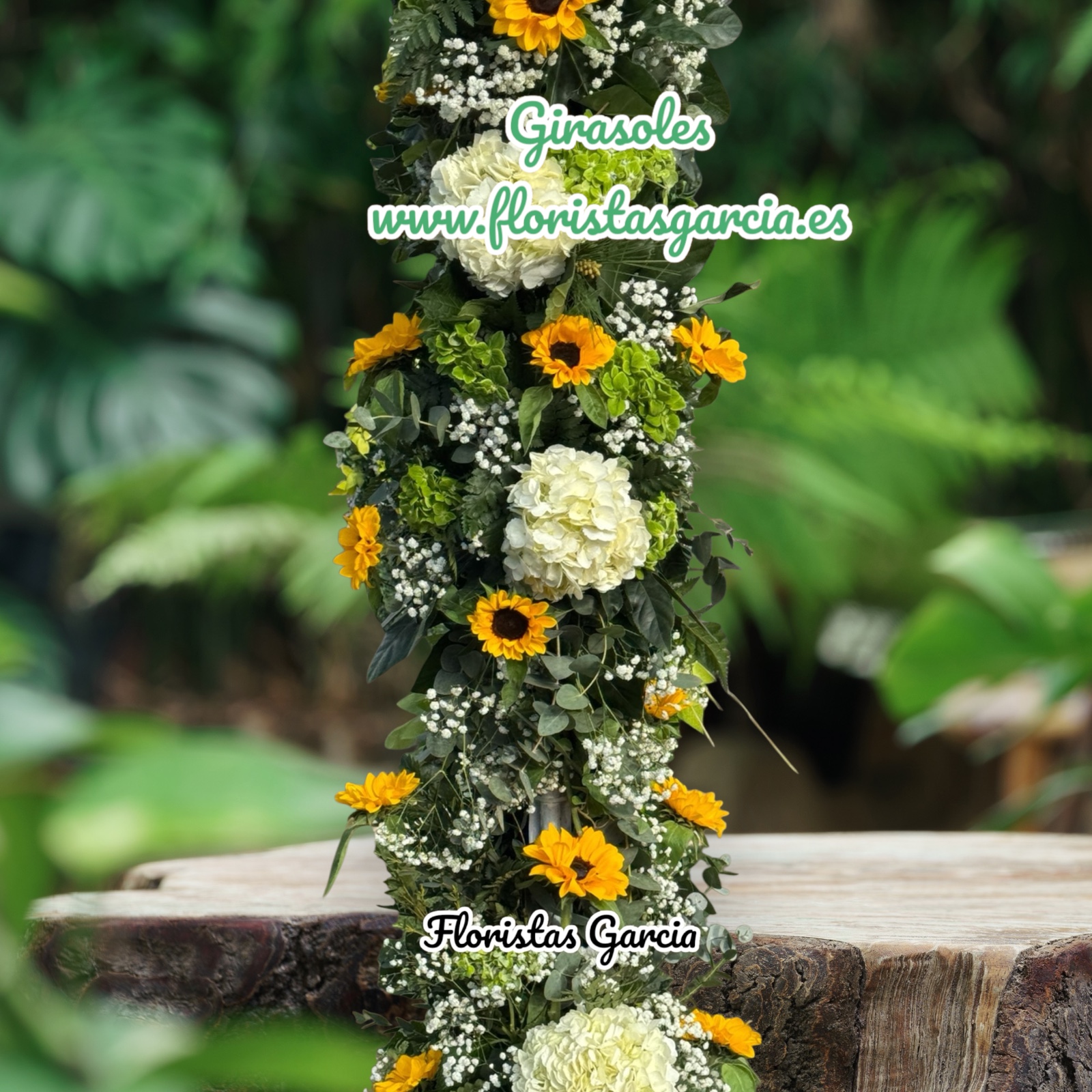 Images Floristas García