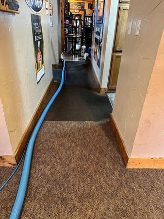 Images Apex Professional Cleaning Systems