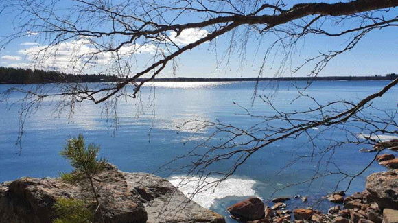Images Psykologi Leena Mäki-Haapoja