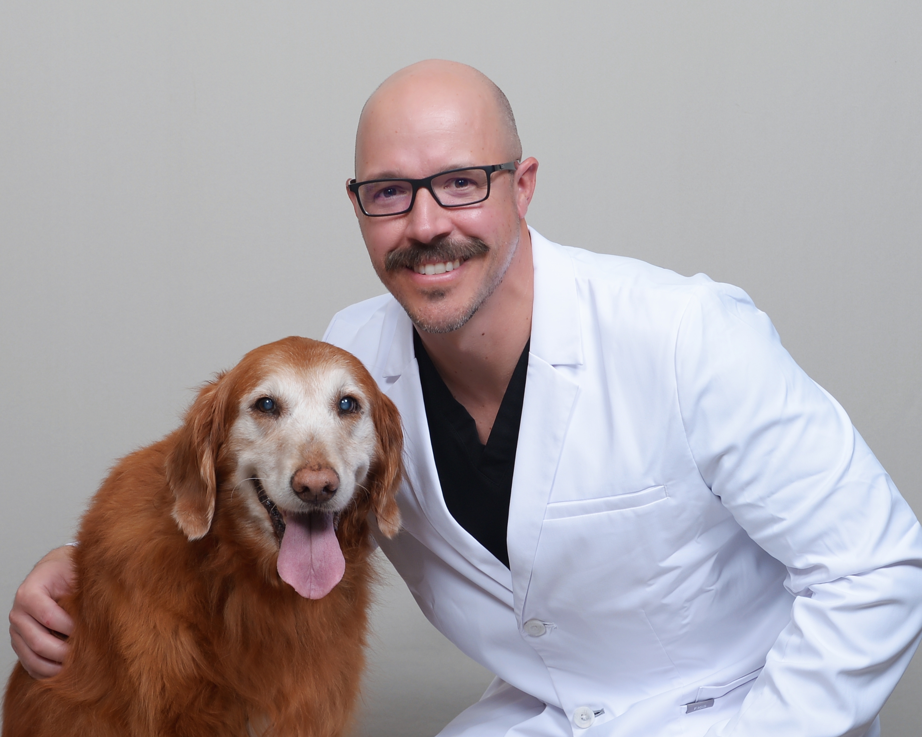 CityVet | Murphy Image