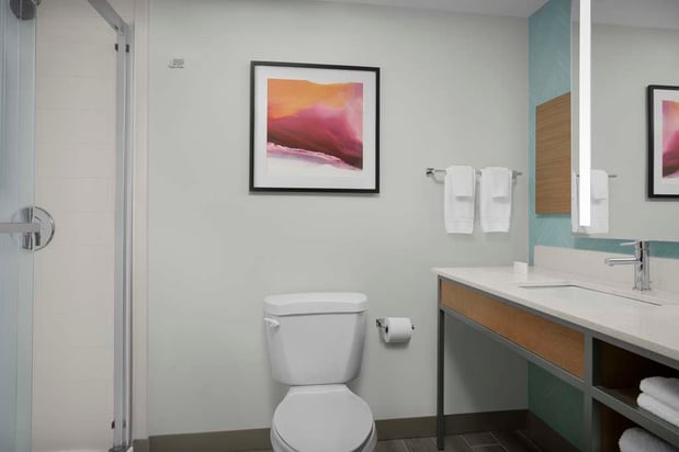 Images Hilton Garden Inn Atlanta North/Johns Creek
