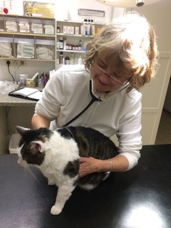 Tierarztpraxis München Nord Freimann - Elisabeth Kania, Längsweg 9 in München