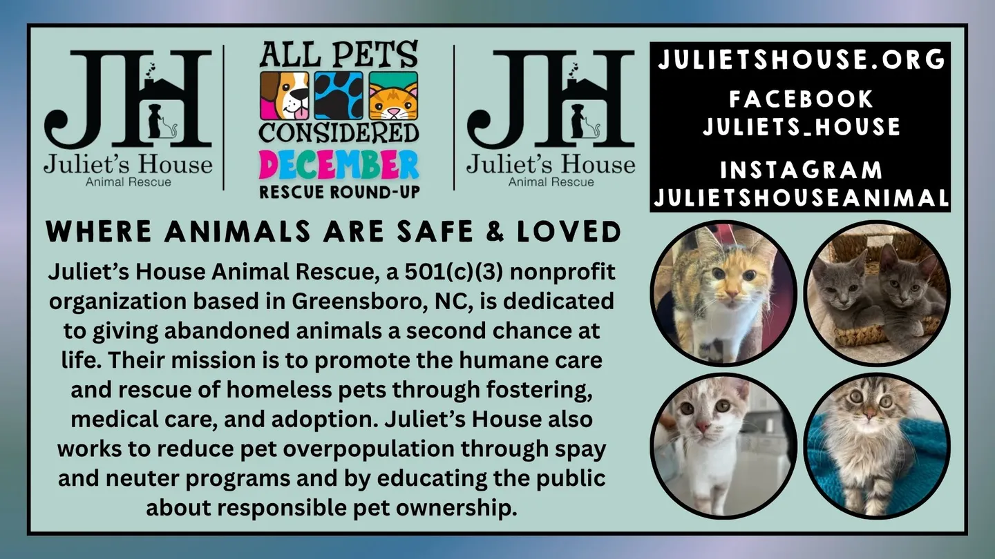 Image of Local Pet Event APC December Rescue Round-Up of the Month Nearby