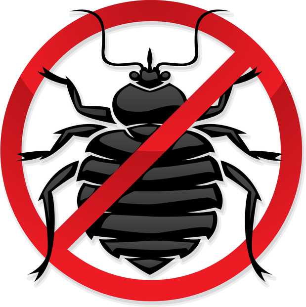 Images All Out Bed Bug Exterminator Manhattan | Bed Bug Removal NYC