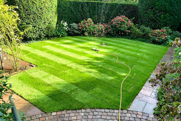 Kundenbild groß 4 Garten und Landschaftsbau Browa GmbH