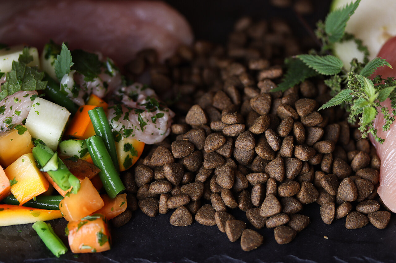 Bilder Green Pet Shop