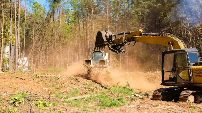 We can provide the professional lot clearing services you need.
