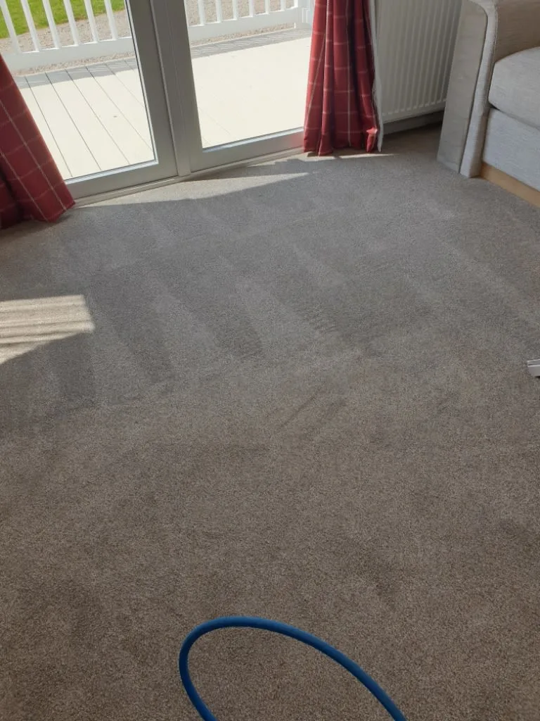 Images Johnshaven Carpet Cleaning Services