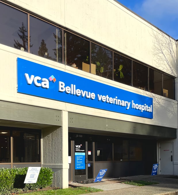 Images VCA Bellevue Veterinary Hospital