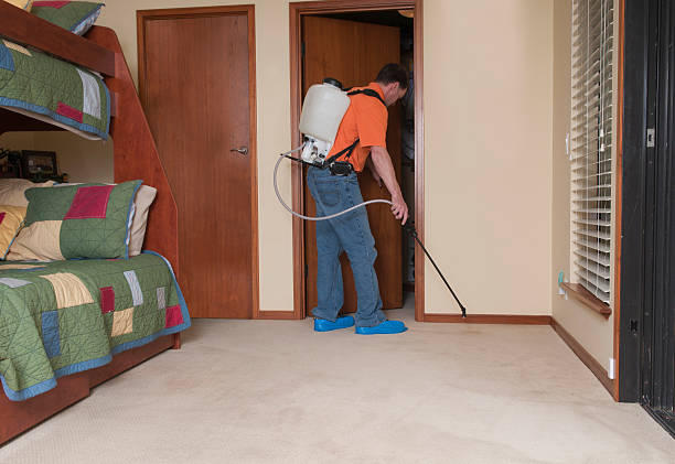 Images Paffy's Pest Control
