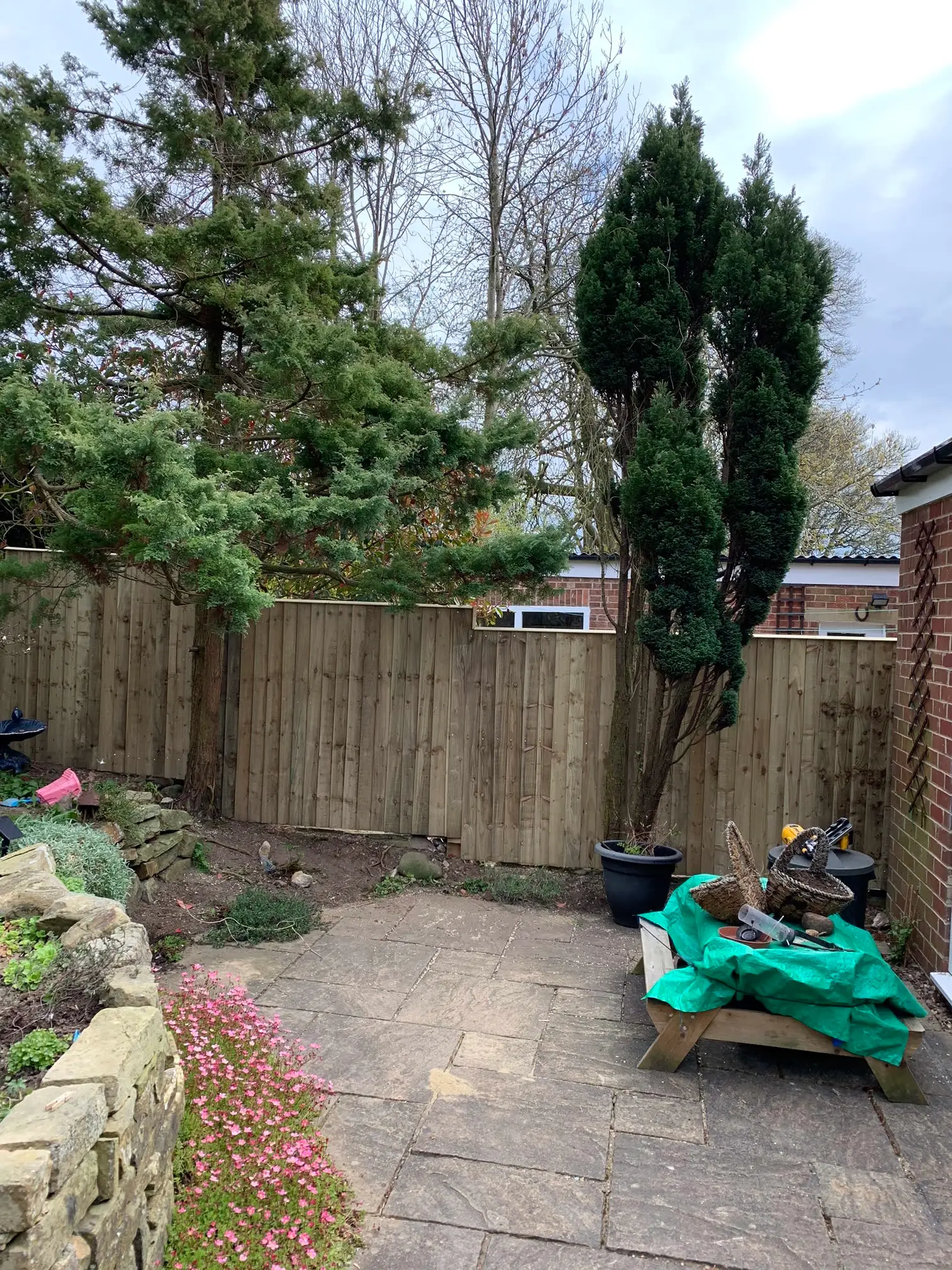 Images D & E Landscapes