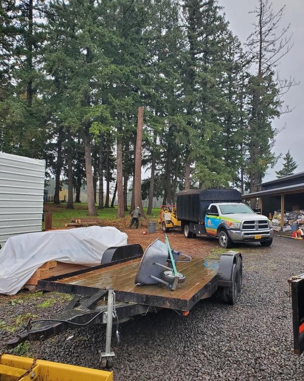 Images Alex's Quality Tree Service