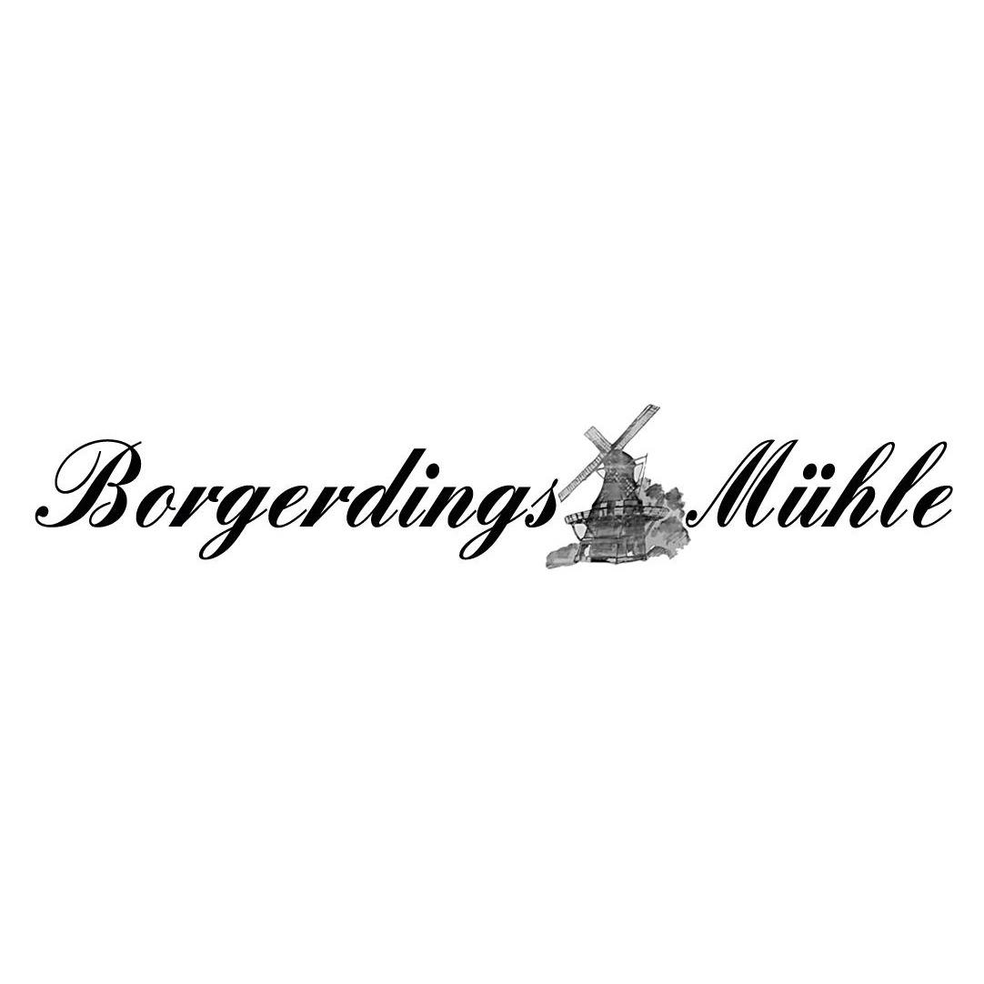 Logo Gaststätte und Saalbetrieb Borgerdings Mühle