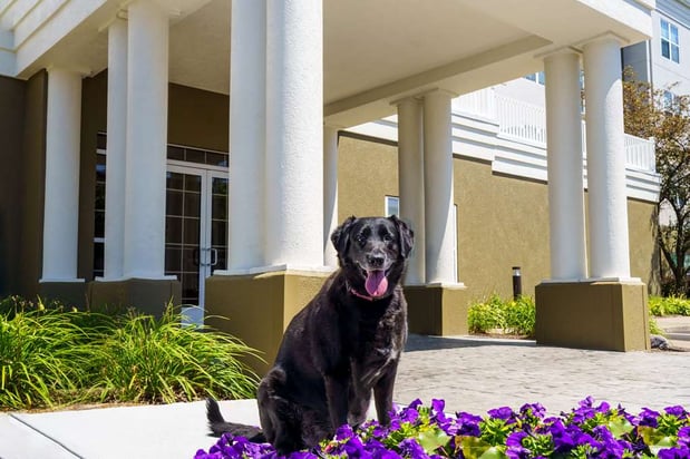Images Homewood Suites by Hilton Erie