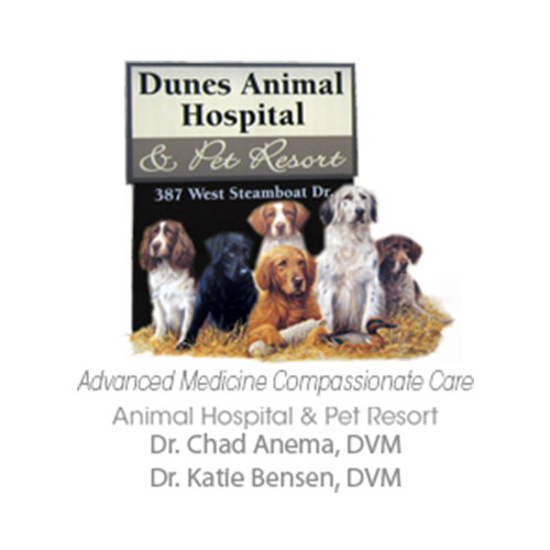 Dunes Animal Hospital Logo