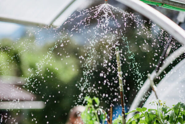 Bilder K.u.F. Drack GmbH & Co KG