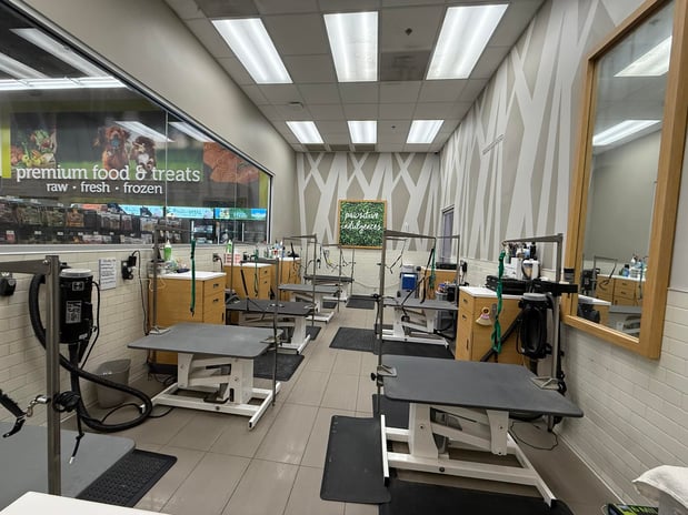 Images Petco Grooming