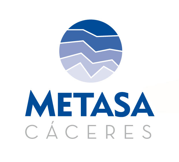 Images Metasa Asesores