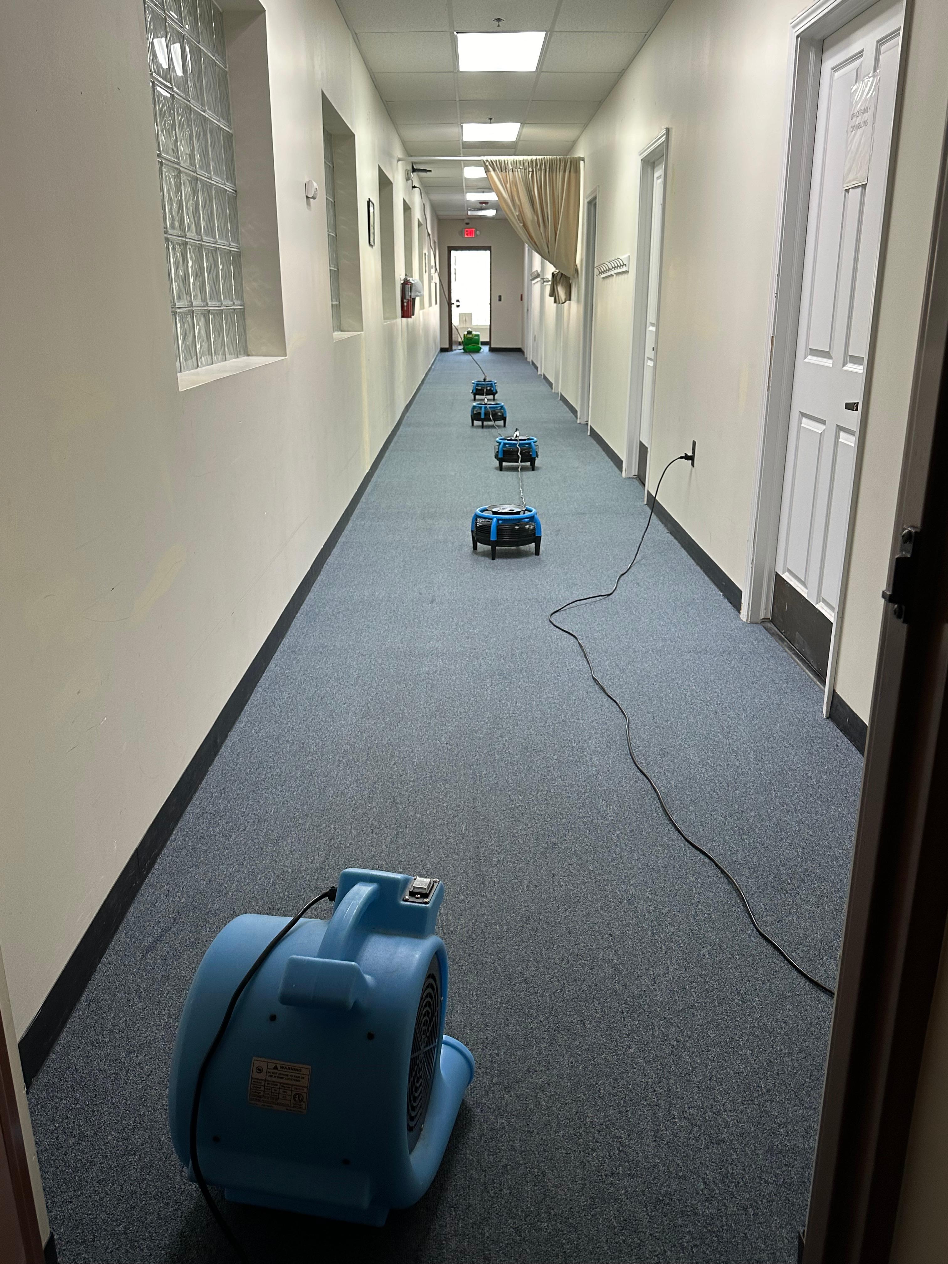 Image 9 | CLE Carpet Cleaning